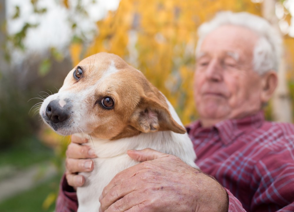 Senior man with dog in park