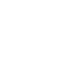 American Disabilities Act icon