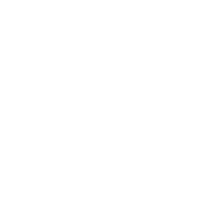 Linkedin icon